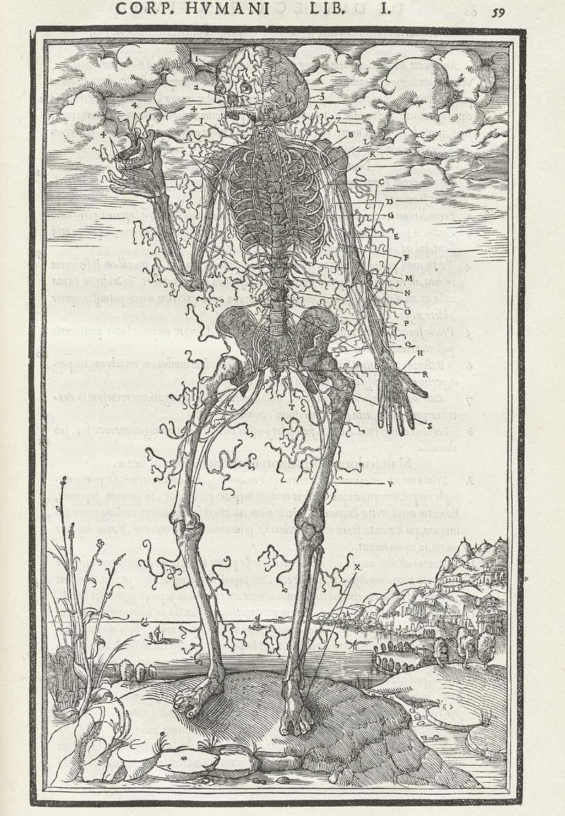 Estienne_p059 Estienne_p059